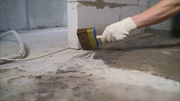 SJ Waterproofing Pros Waterproofing coverage map for Hastings, MI and surrounding area